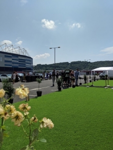GG_C2 artificial grass corporate